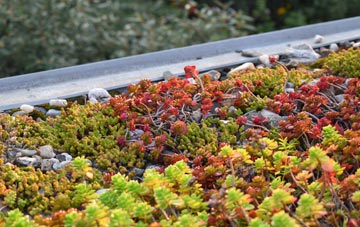 the cost of Great Dunham green roof installation