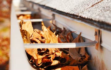 Great Dunham gutter cleaning companies